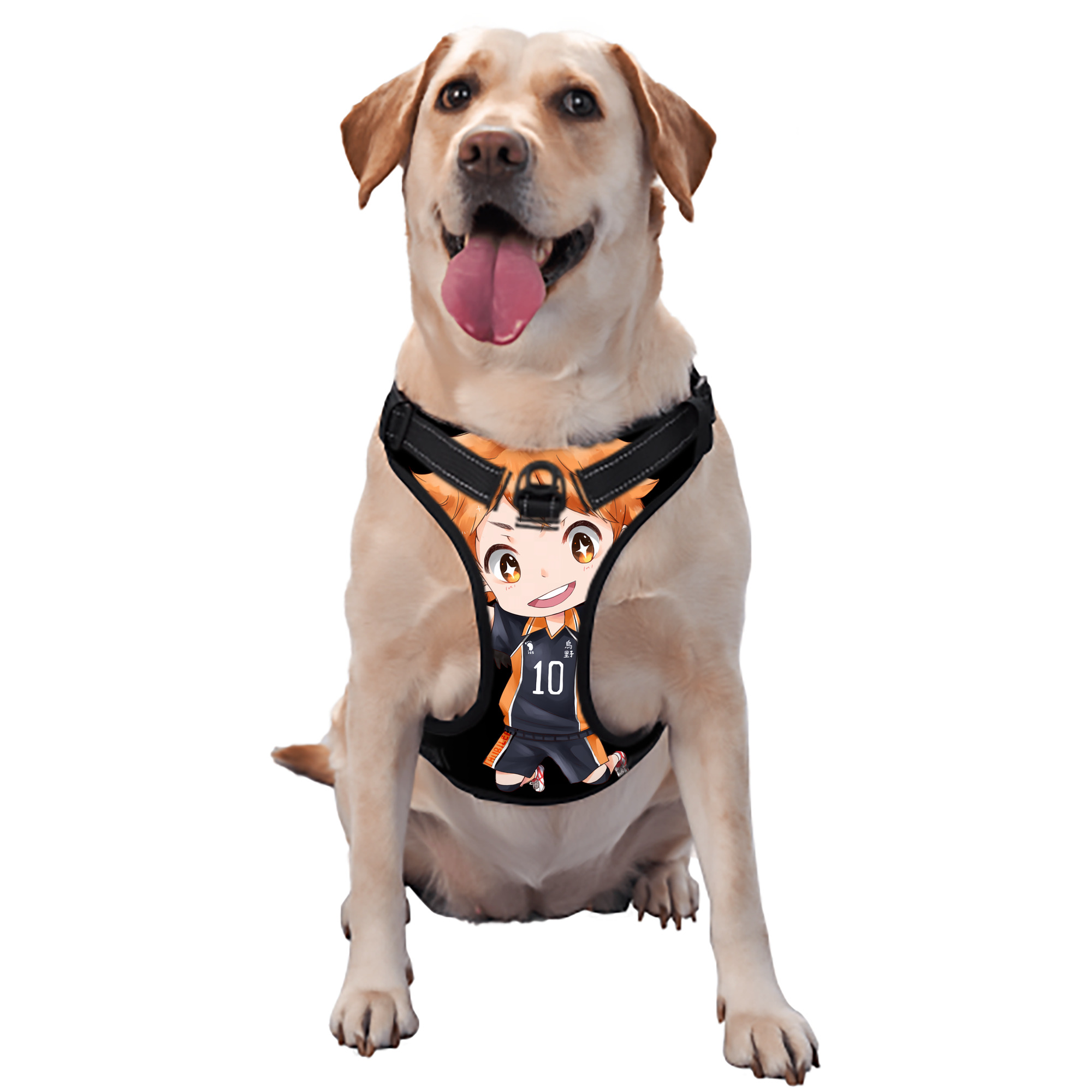 （画像用） ハイキュー!! Haikyu!! ペット用ハーネス